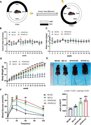 Chronic jet lag alters gut microbiome and mycobiome and promotes the progression of MAFLD in HFHFD-fed mice